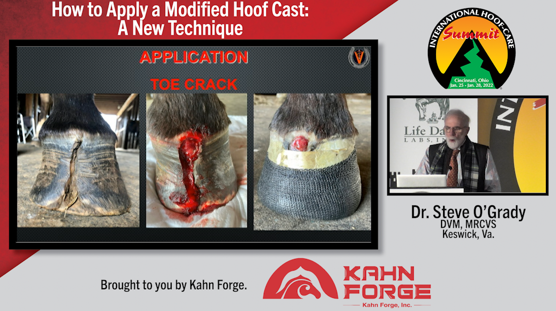 How To Apply a  Modified Hoof Cast