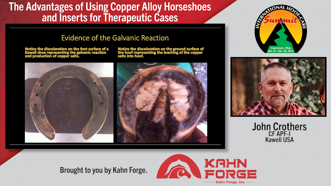 The-Advantages-of-Using-Copper-Alloy-Horseshoes-and-Inserts-for-Therapeutic-Cases.png