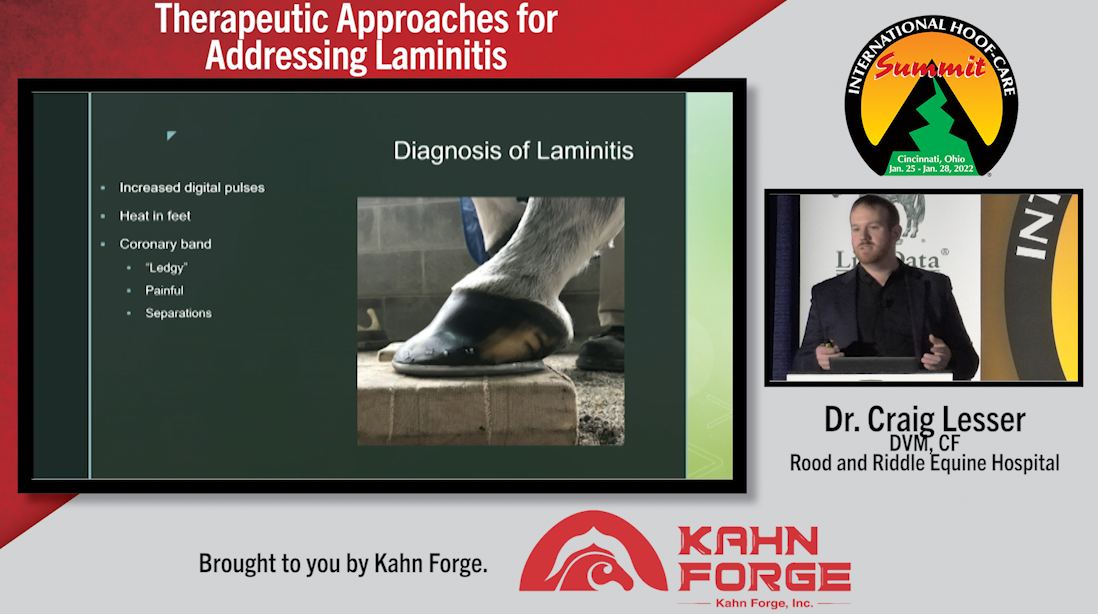 Therapeutic-Approaches-for-Addressing-Laminitis.png