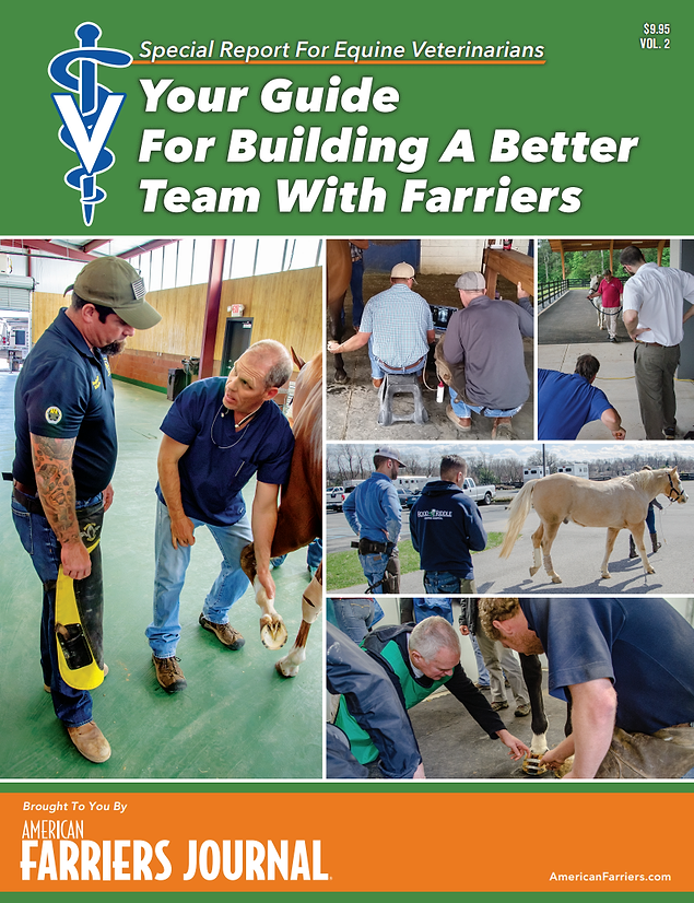 Special Report for Equine Veterinarians Volume 2