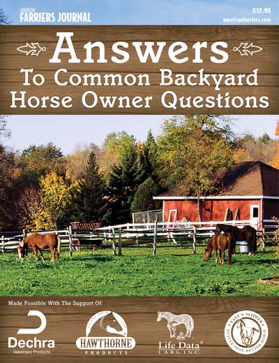 Backyard Horse Owner Cover