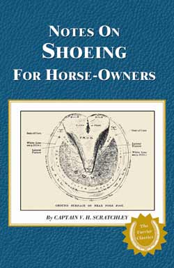 Notes on Shoeing For Horse-Owners
