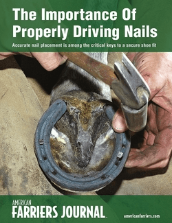 The Importance of Properly Driving Nails