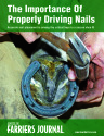 The Importance of Properly Driving Nails