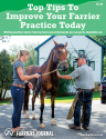 Top Tips To Improve Your Farrier Practice Today