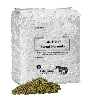 LDSF_DemoBag_2019_intro---SWEAT-FORMULA.png