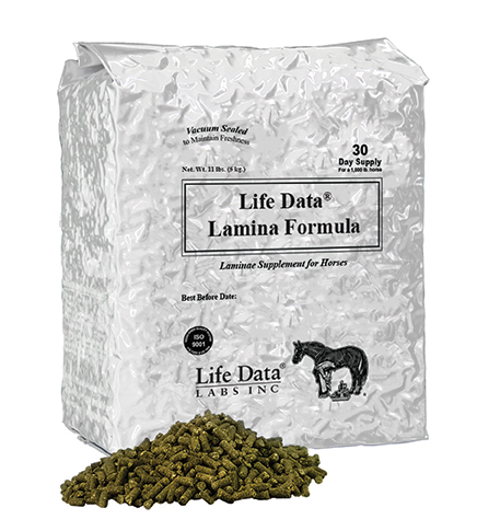 FFDS_Farrier_Anvil_Pellets_video---DOUBLE-STRENGTH.png