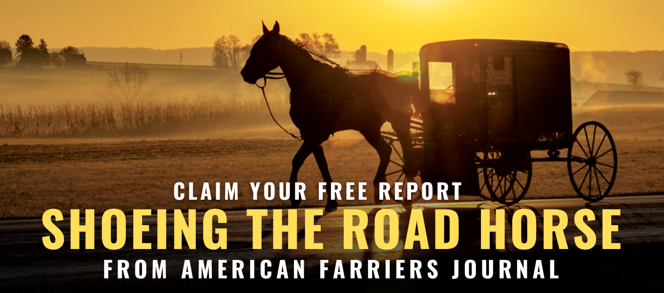 Shoeing the Road Horse