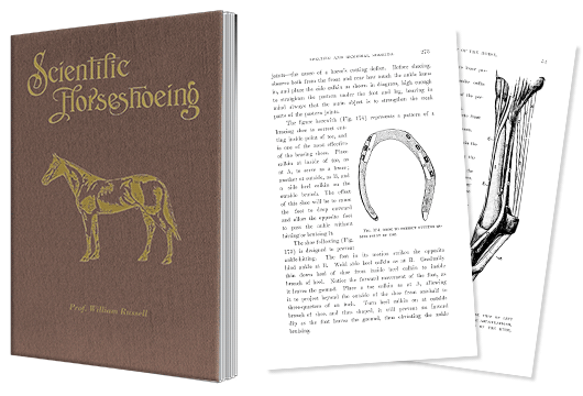 Scientifichorseshoeing