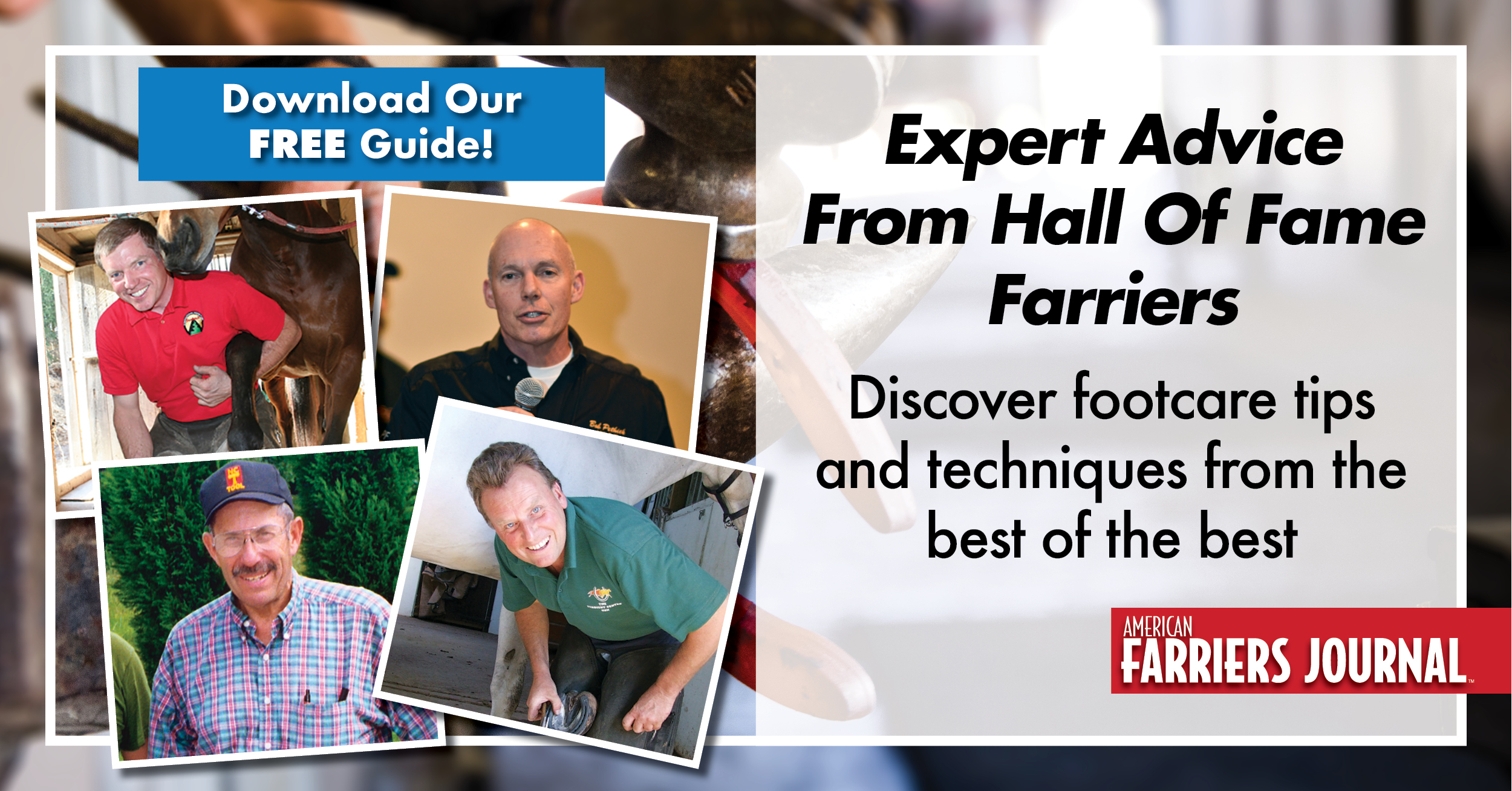 The Ultimate Guide to Running a Successful Farrier Practice