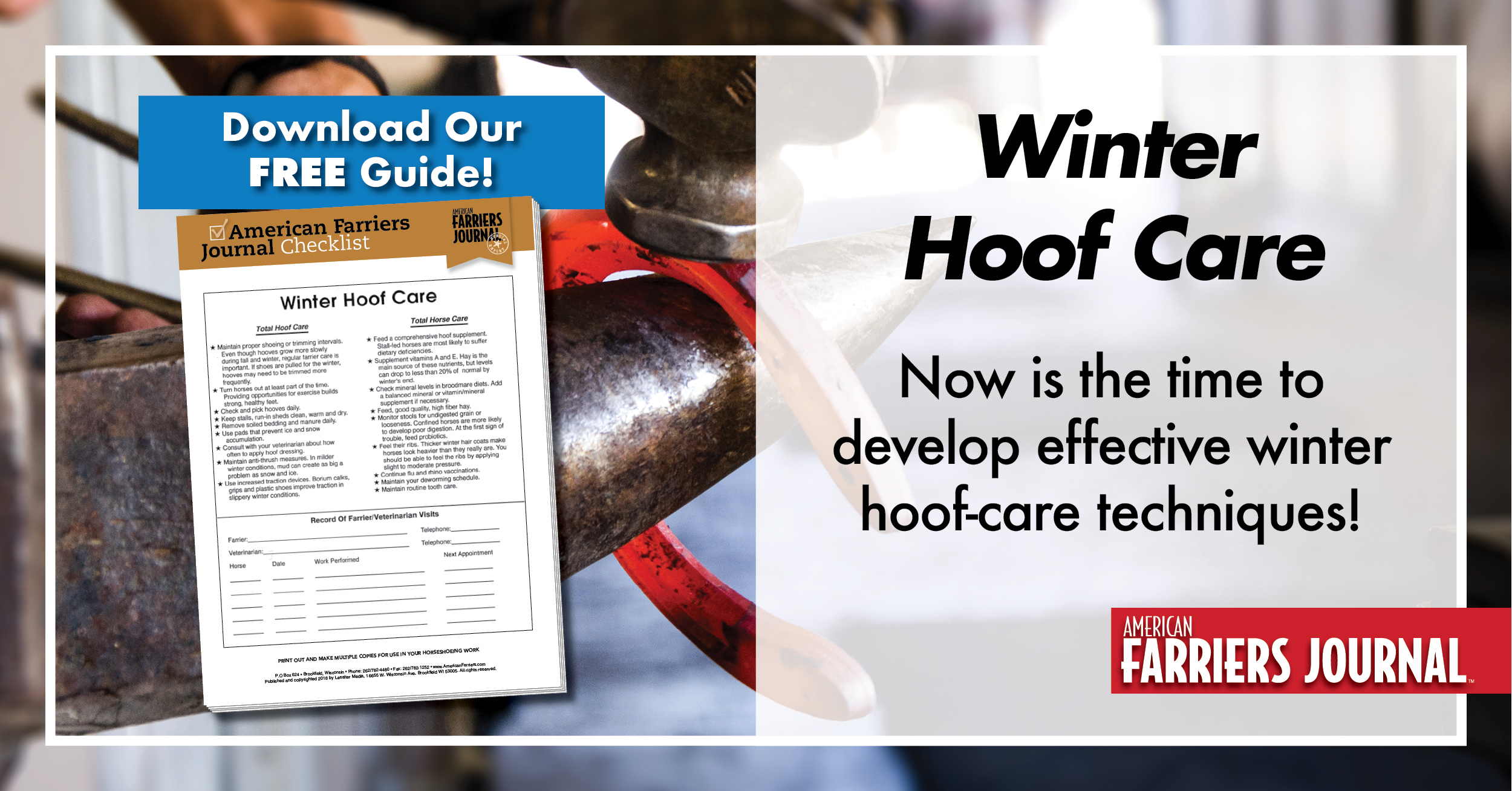 Winter Hoof Care