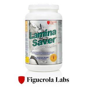 LaminaSaver by Figuerola Laboratories