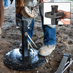 Tough1 Professional Adjustable Farrier Stand from JT International