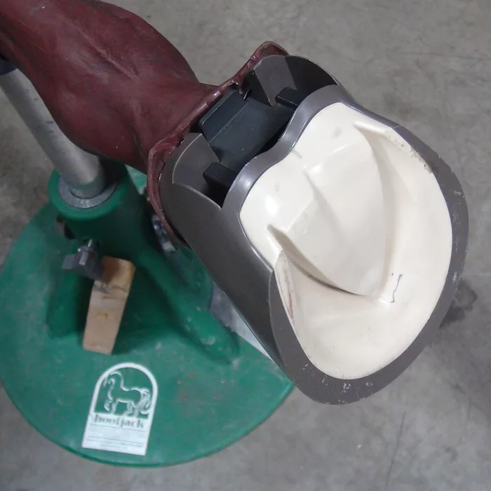 Diamond Farrier Co. Diamond Hoof Capsule _0820 copy