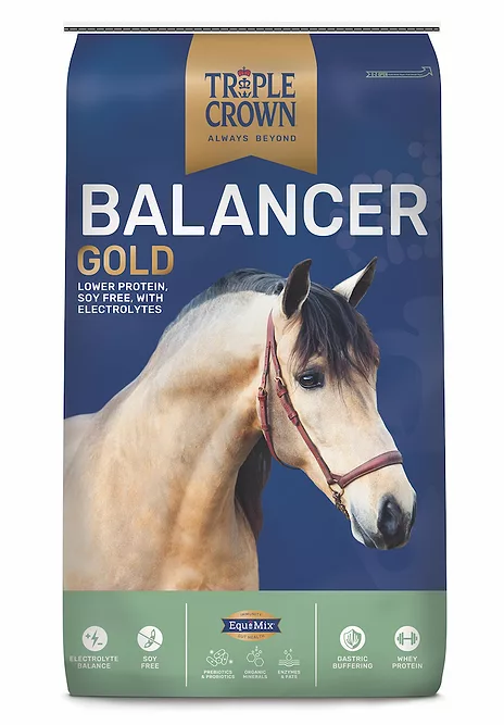 Triple Crown Nutrition Triple Crown Balancer Gold Supplement_0820 copy