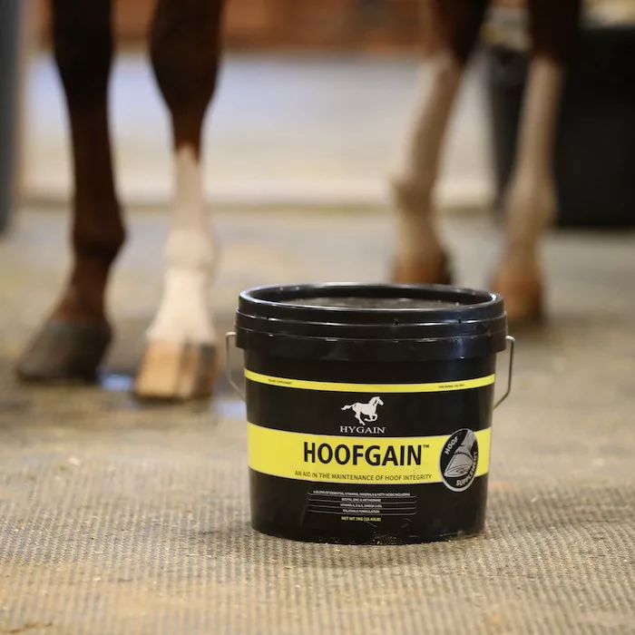 Hygain Feeds USA HOOFGAIN Hoof Supplement_0821 copy