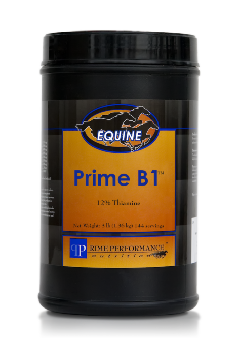 Prime Performance Nutrition Prime B1_0822 copy