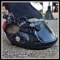 Terra Horse EVO Boots_0220 copy