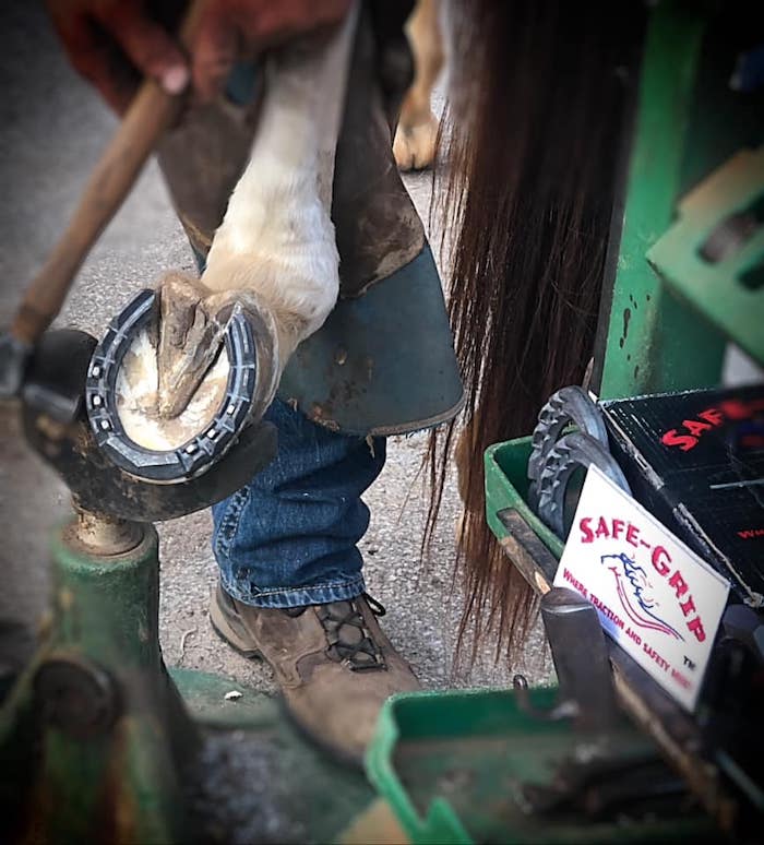 SafeGrip Horseshoes Barrel Horseshoe American Farriers Journal