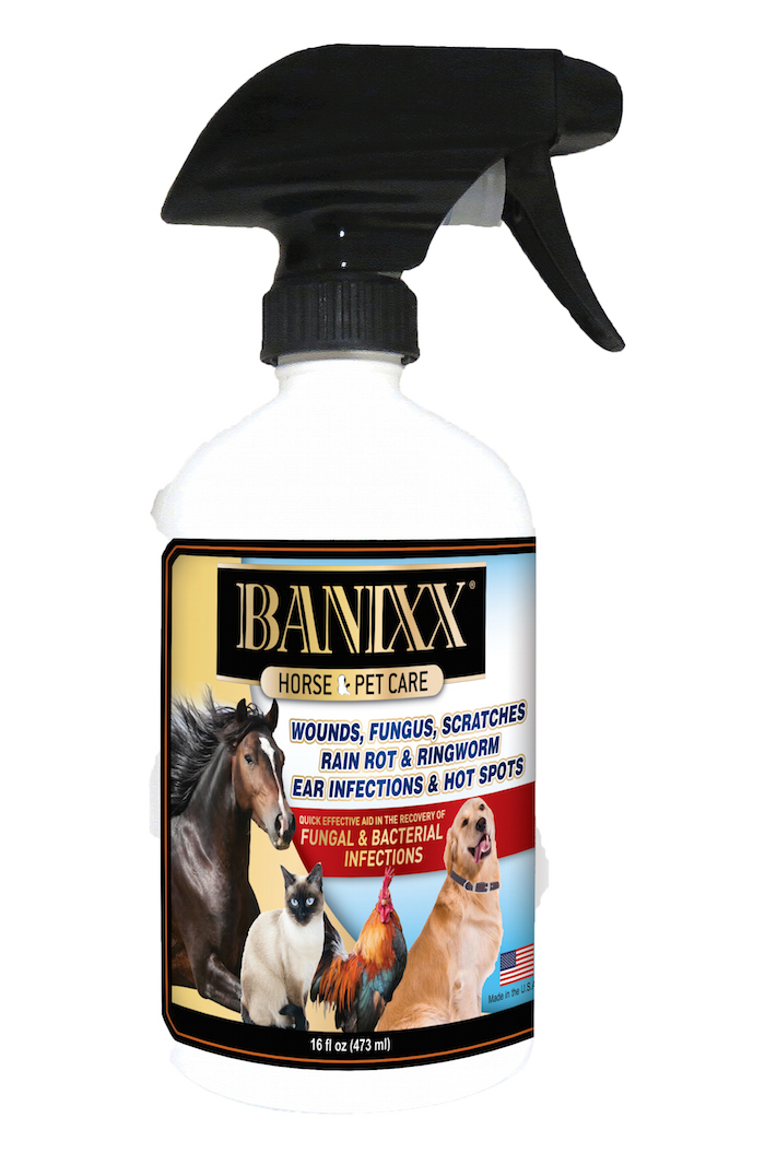 Banixx Horse & Pet Care AntiFungal/AntiBacterial Spray American