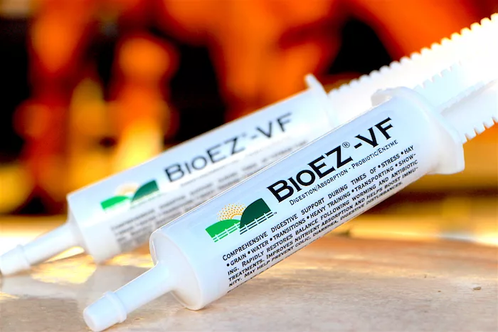 GGBC Inc./Giddyap Girls Biscuit Co. BioEZ-VF Digestive Support_0819 copy