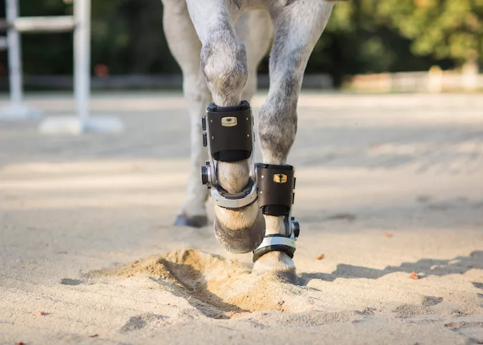 Horsepower Technologies Inc. FastTrack Rehabilitative Orthotic_0318 copy