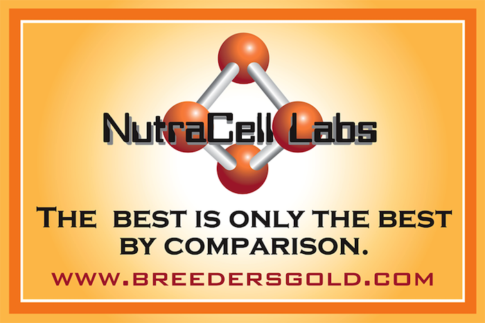 Nutra Cell Labs Nutritional Supplements_0318 copy