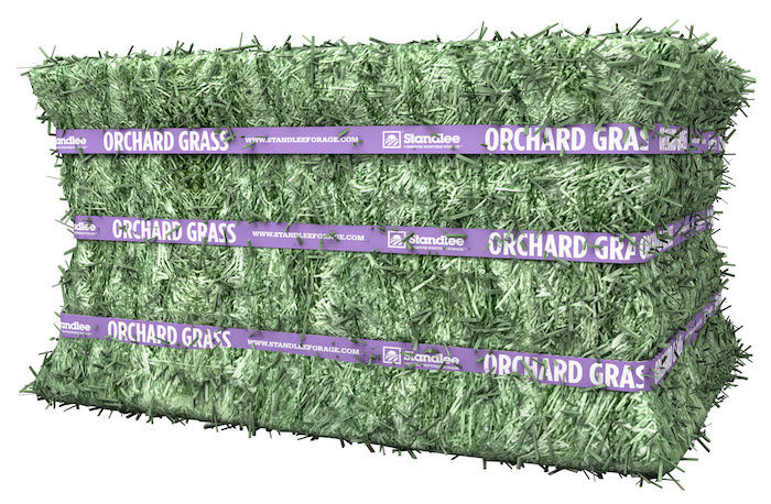 Standlee Premium Western Forage Premium Orchard Grass Compressed Bale_0318 copy