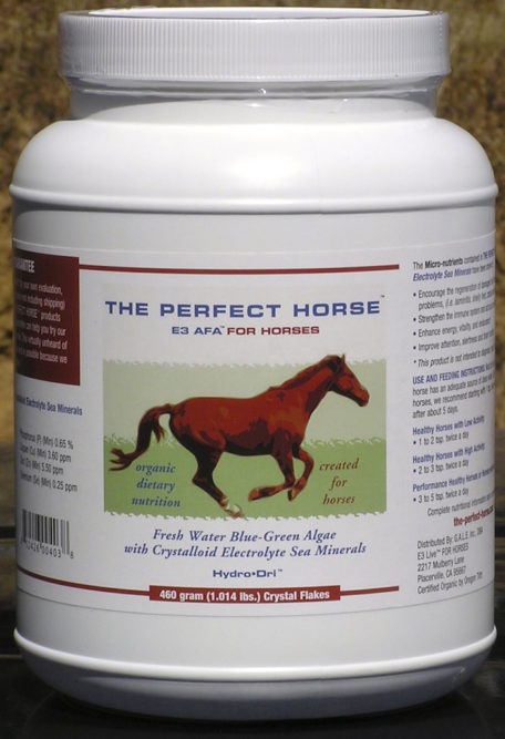 The Perfect Horse E3 AFA For Horses