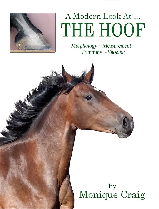 eponamind_a modern look at the hoof_0318 copy