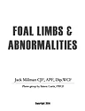 jack millman Foal Limbs..._0318 copy