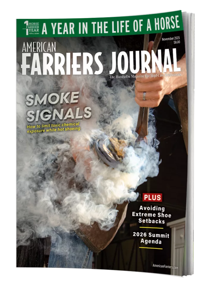 AFJ November 2025.png