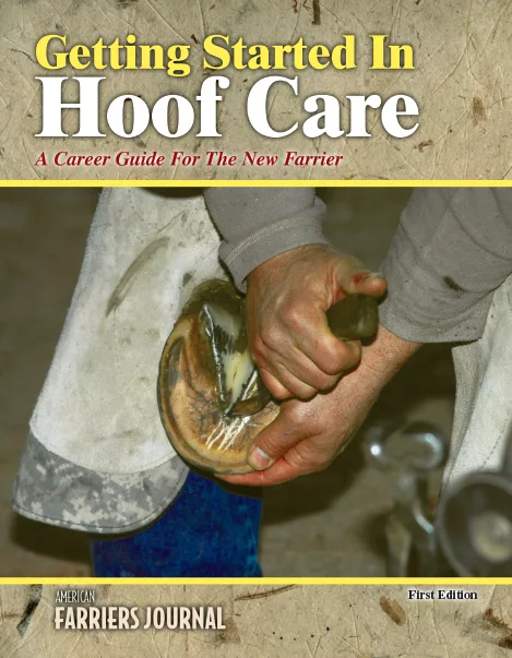 2009 Career Guide