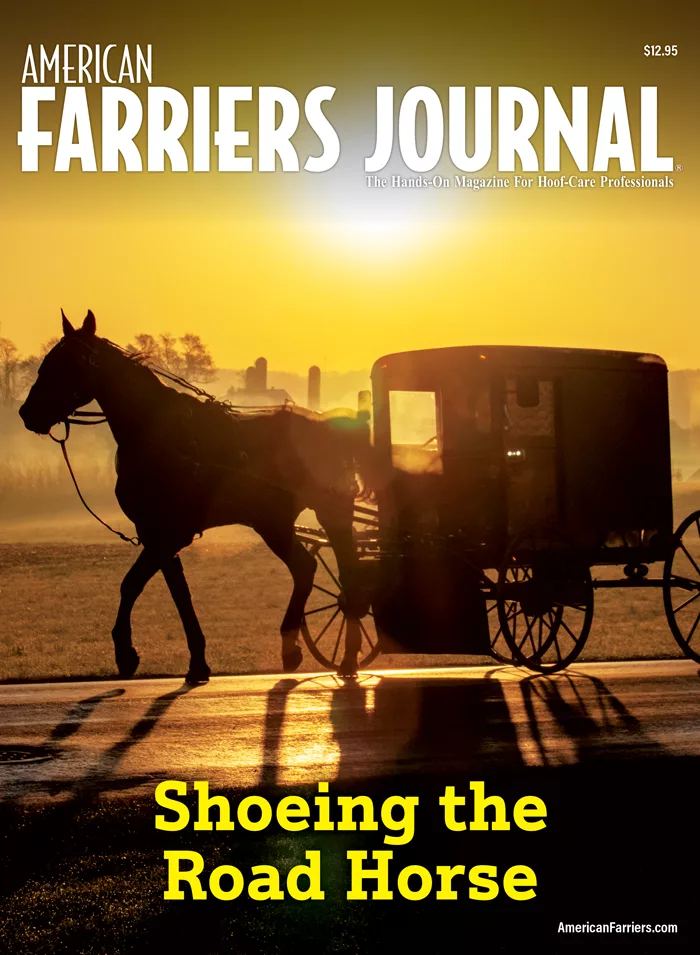 Shoeing the Road Horse_web.png