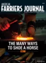 The Many Ways to Shoe a Horse.png
