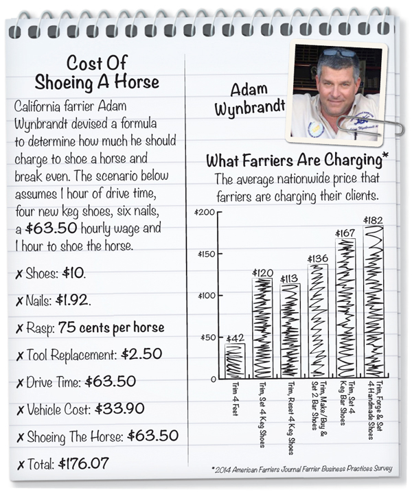 Cost-of-shoeing-a-horse.jpg
