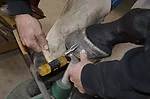 Clinch Gouge