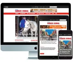 AFJ Digital Subscription