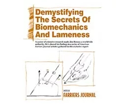 Demystifying Secrets of the Limb