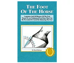 Foot of the Horse