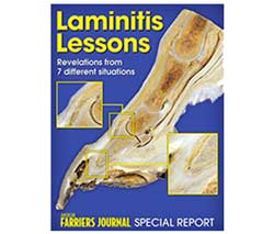 Laminitis Lessons