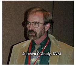 Stephen O' Grady