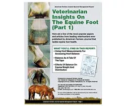 Veterinarian Insights Part 1