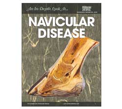 An In-Depth Look At Navicular Disease