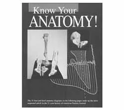 Know Your Equine Anatomy!