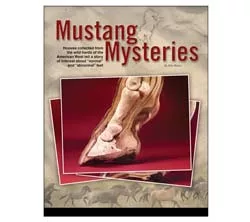Mustang Mysteries