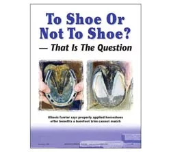 To Shoe Or Not To Shoe