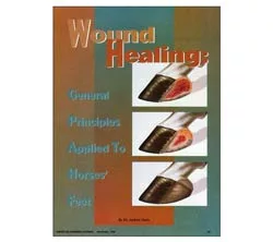 Wound Healing: General Principles Applied To Horses' Feet