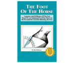 Foot of the Horse