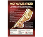 Hoof Capsule Studies